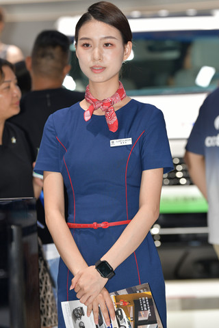 端庄、美丽大方的汽车销售